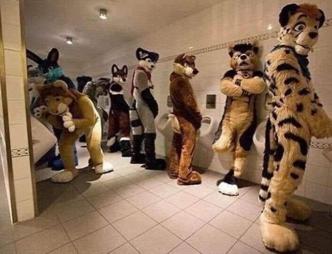 humans-doing-human-things-61fa81aa2d451__700