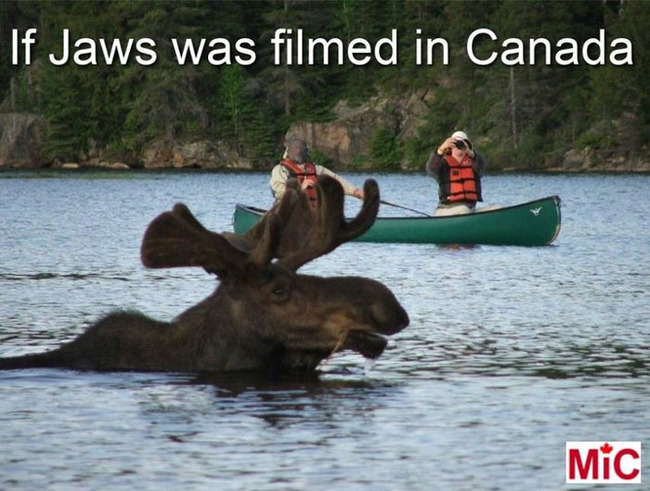 meanwhile-in-canada-memes-639070cb34652__700