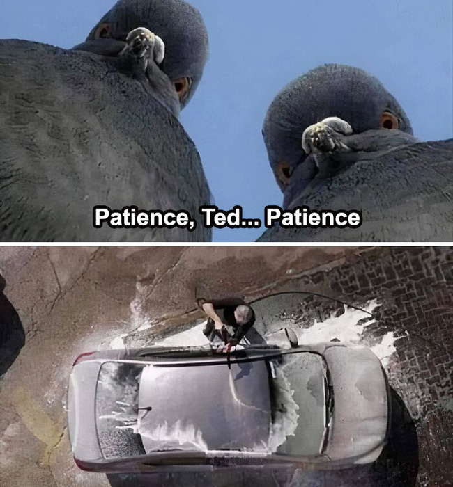 funny-cars-memes-pics-4-66dac55123367__700
