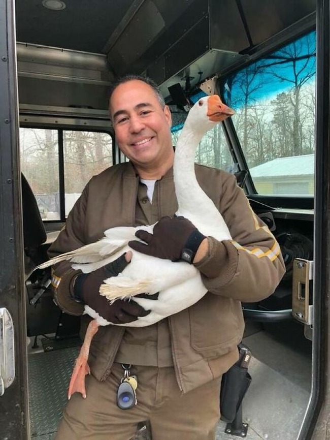 ups-drivers-meet-animals-best-of-all-time-10-6666a18e2e7ab__700