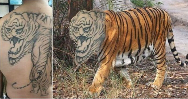 worst-funny-tattoo-fails-64afa2720ea39-png__700
