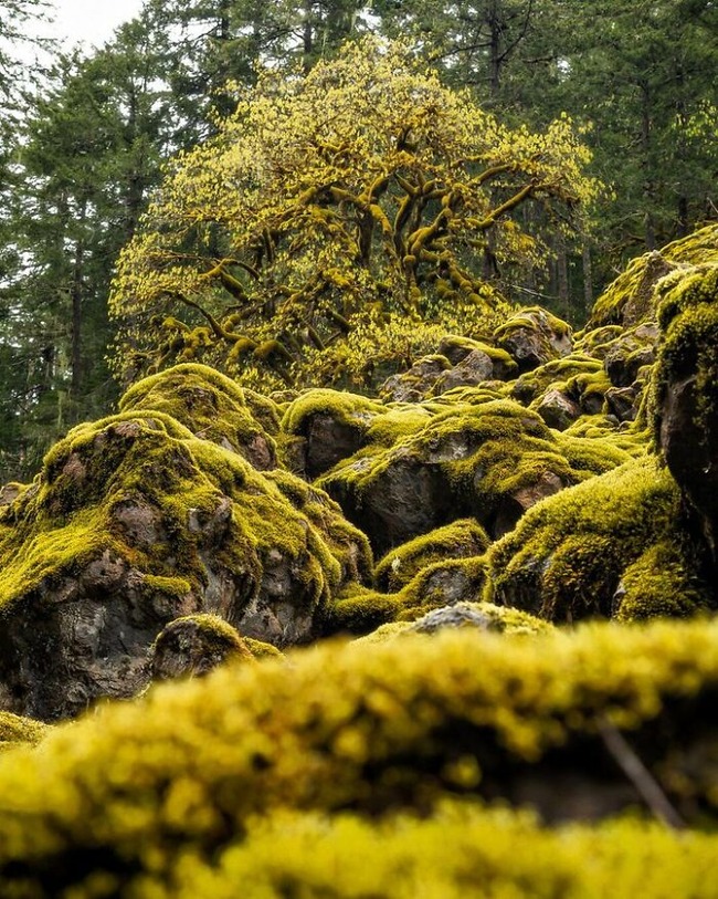 stunning-earth-pics-655dc5e14504e__700 (1)