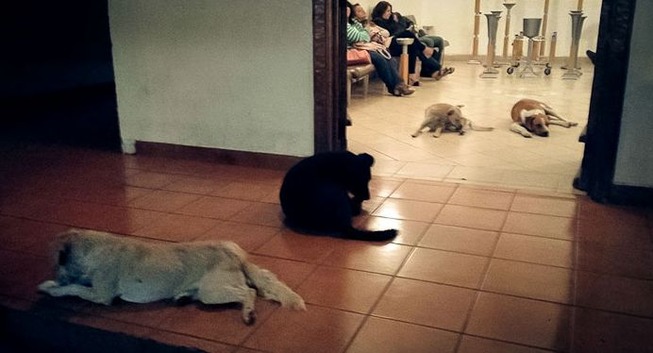 amazing-ways-say-goodbay-funeral-ideas12-5a9024ee33914__700