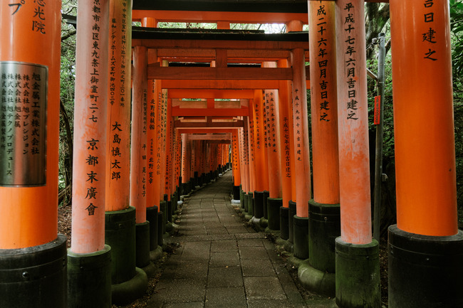 414832386_10218694171504344_6406290522921698279_n