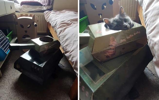 quarantined-owners-build-cardboard-cat-tanks-5eaa7613f05e2__700