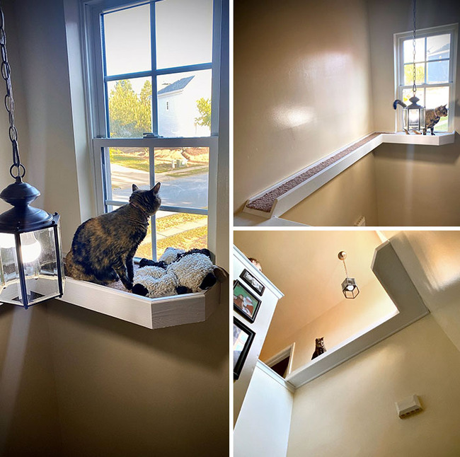 cool-inventions-for-pets-131-63562b5783209__700