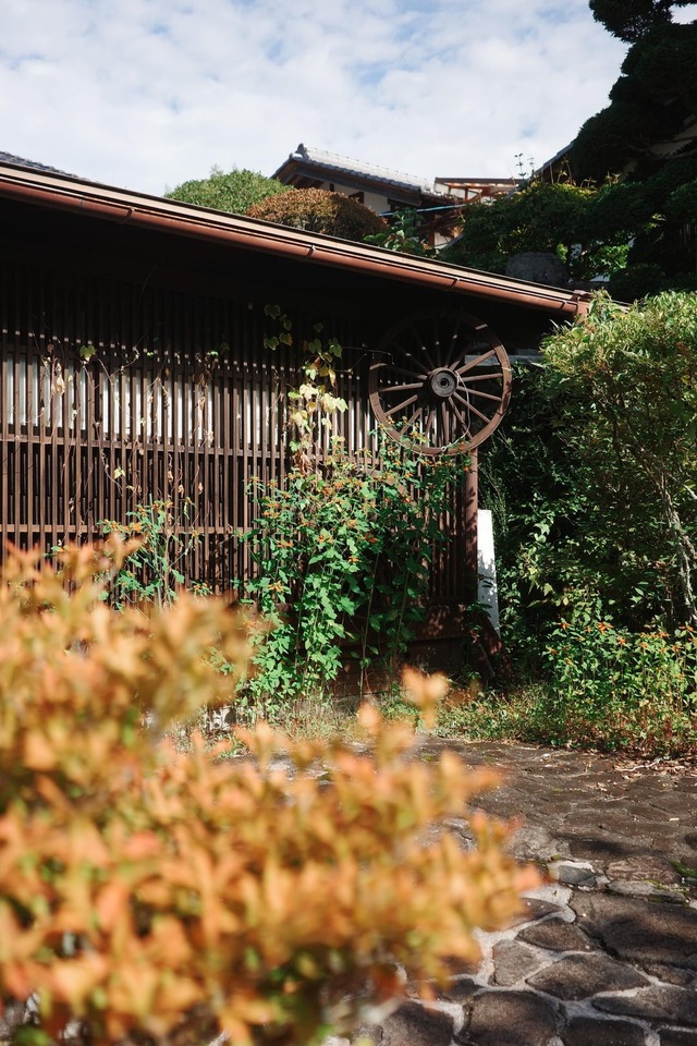 my-japan-trip-october-2025-in-20 (5)