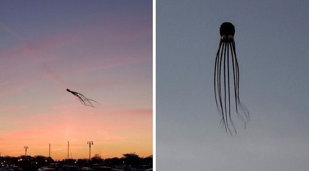oddly-terrifying-pics-12-60c73729a80d1__700 (1)