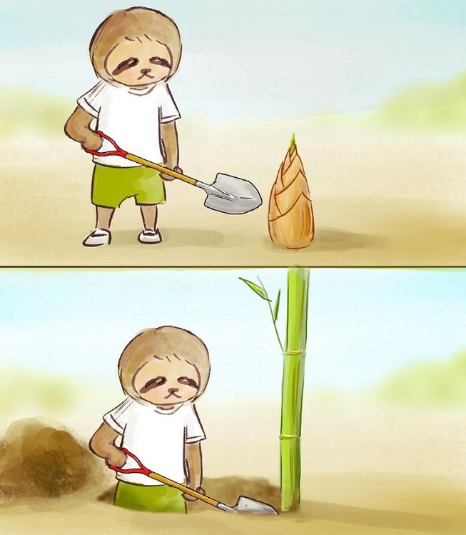 funny-sloth-illustrations-keigo-4-5d75f2d259b73__700