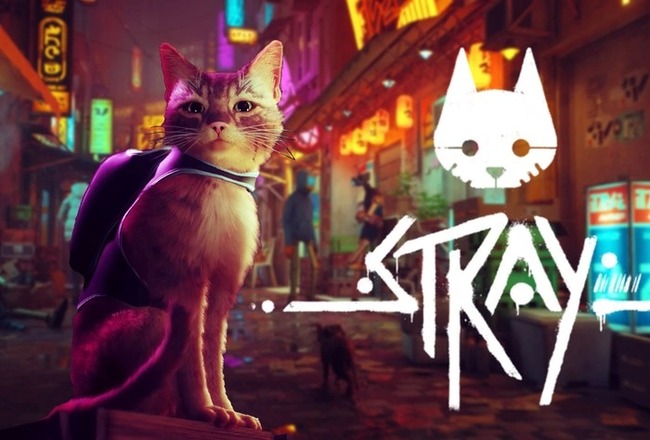 Stray-cat-adventure