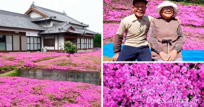 1412454660-6447d5d725c83__700