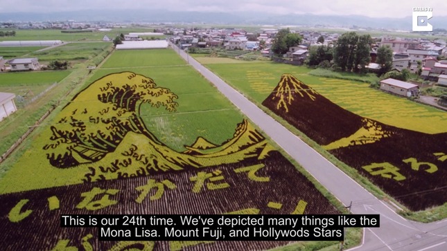 5d6c59fb-c1fa-4718-8d45-15988010a944 (1)