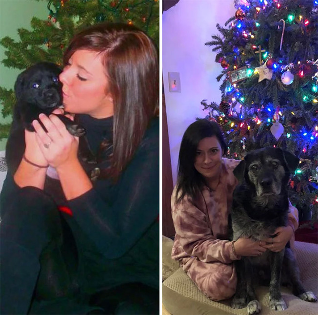 dogs-growing-up-307-60100f4286f3a__700