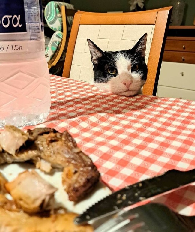 67b34bdfc54a6_we-didnt-let-him-eat-a-steak