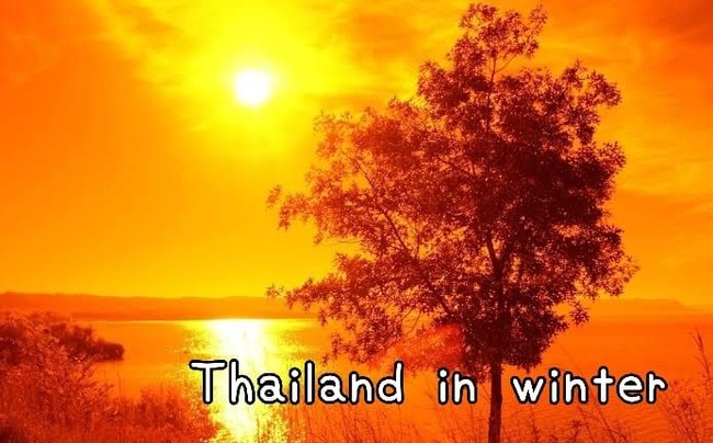 313423080_5793667600656271_4466418436123162573_n