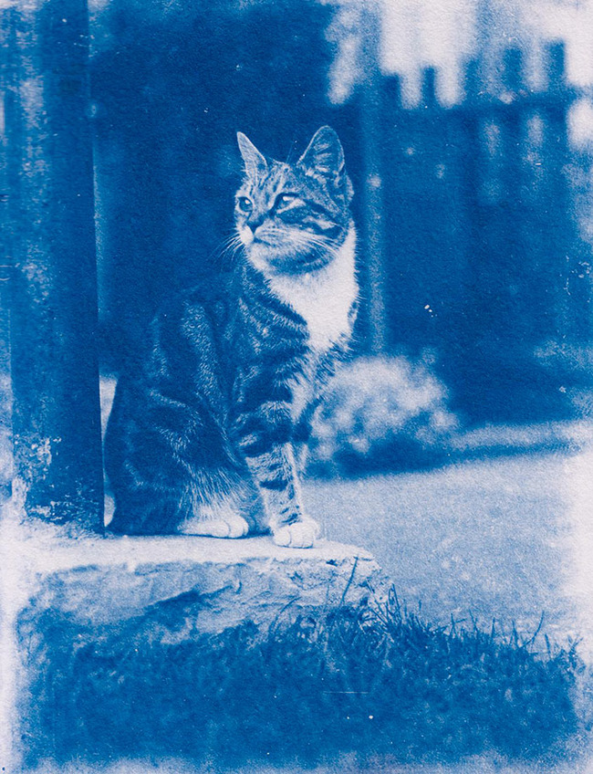 old-house-finds-80-65aa5a395ccfb__700