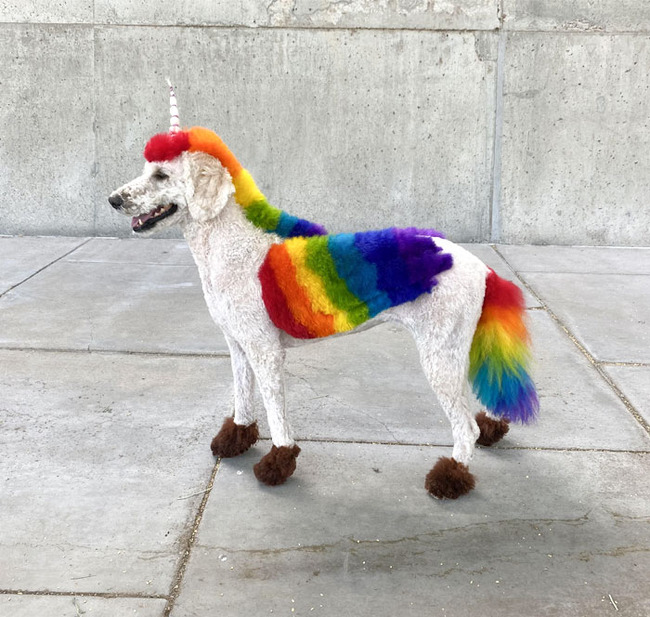 best-pet-halloween-costumes-13-670e557f4ed9e__700