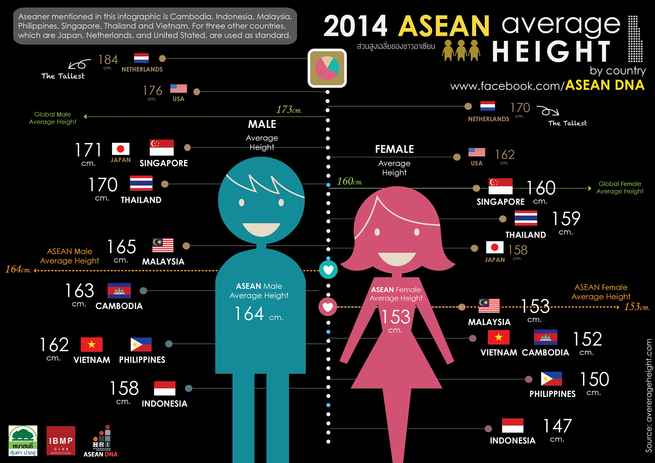 Asean諸国 日本 アメリカ オランダの平均身長を比較してみた結果 海外の反応 海外の万国反応記 海外の反応