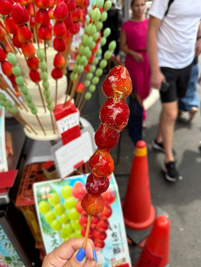 first-time-in-japan-v0-86m9kxgyt(1)