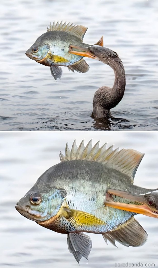 5-67aa116d5f30f__700