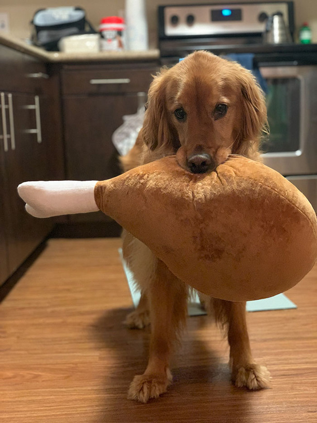 dog-golden-retriever-plush-toys-5ef461bdf3ae8__700