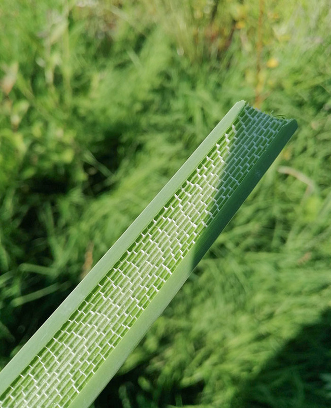 geometrical-symmetrical-plants-nature-244-6107bdff46ec9__700