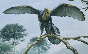 archaeopteryx_1