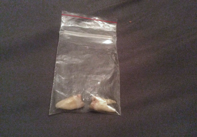 scary-things-people-find-new-homes-6-658e7631937ad__700