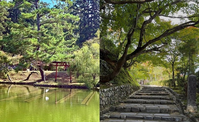 you-dont-need-20-000-steps-a-day