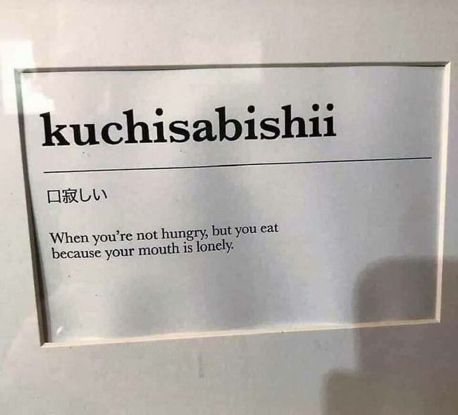 81LM6iAD-gL._AC_SL1500_