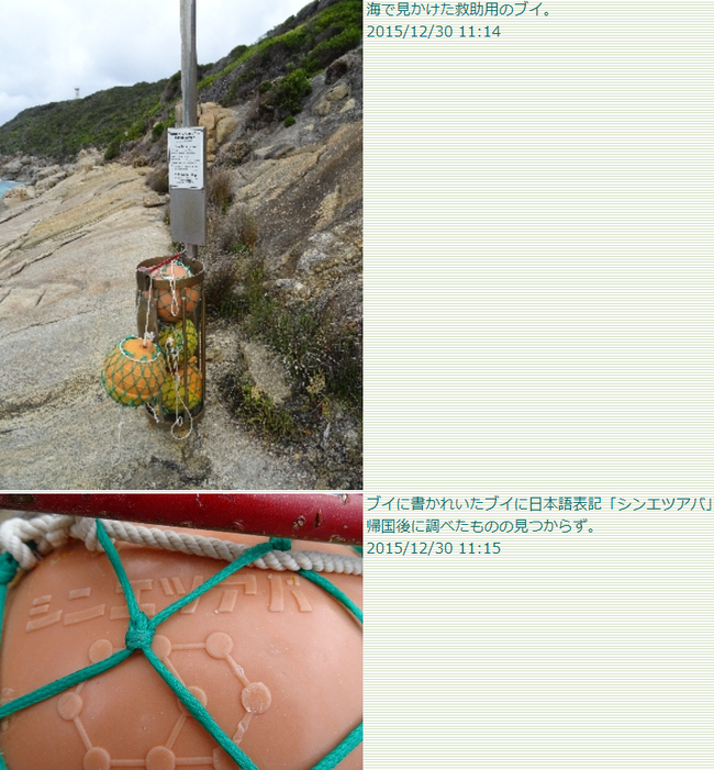 51910984_415279029223540_413826227465133136_n