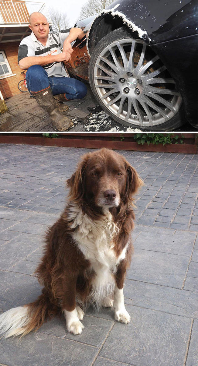 pets-destroying-things-10-6036557e5b398__700