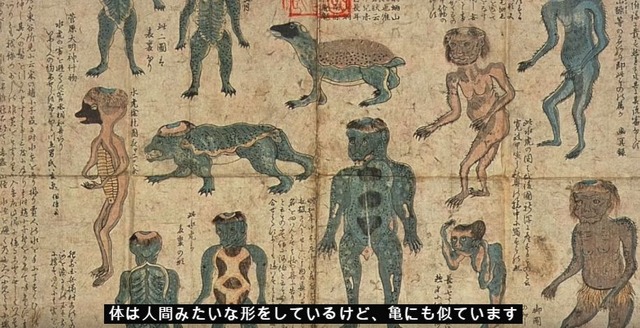 河童釣り　海外の反応