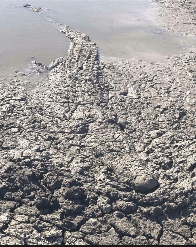 656d9e9754af9_hawyGu0__700