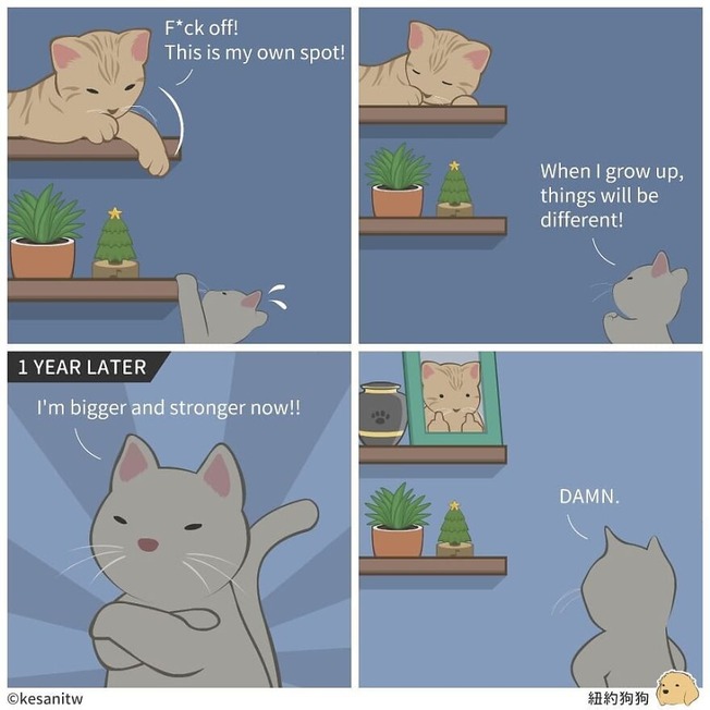 adorable-comics-showing-how-animals-would-act-like-humans