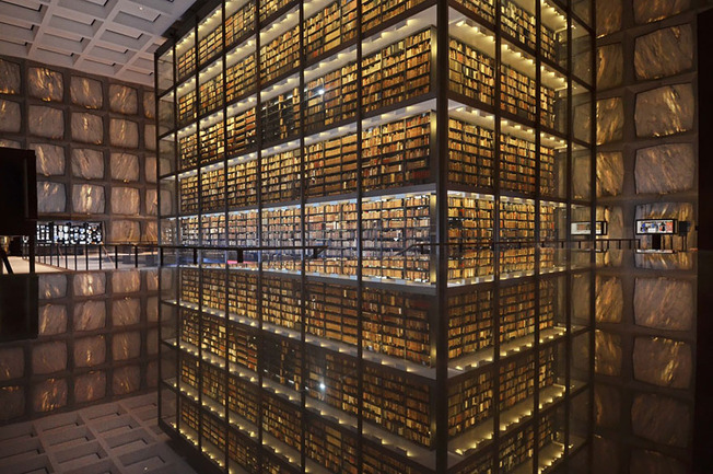 amazing-libraries-1__880 (1)