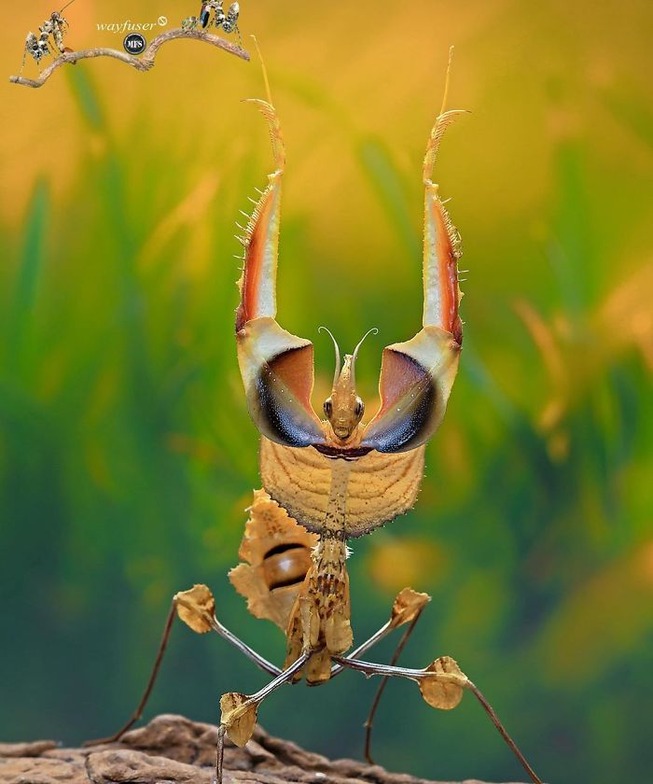 B8p0VtxASRy6DjvuE8PS1Oq51SRjirx6HtCRpw0-png__700