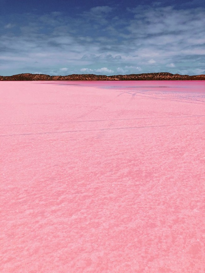 Magic-pink-lagoon-in-Western-Australia-5c6df01ba2539__880