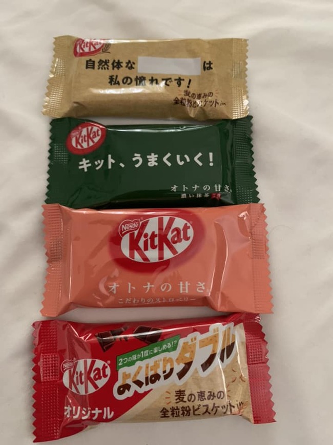 387056633_6869988713022390_5787308030037251205_n