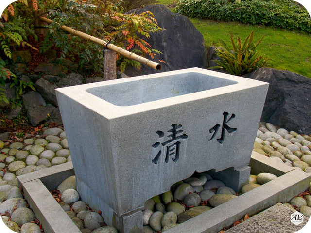 d05