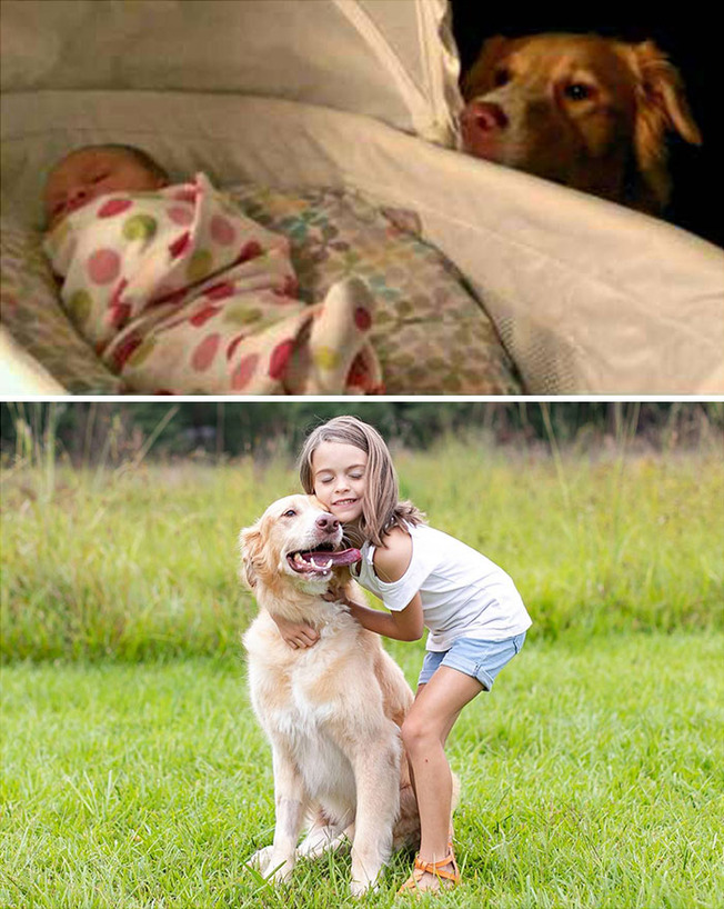 dogs-growing-up-with-owners-194-6020fd8e00bfe__700