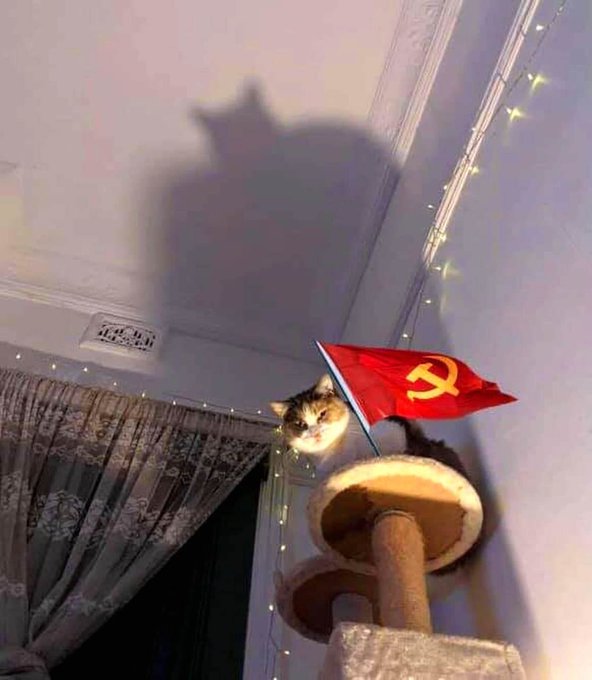 no-context-russia-pics