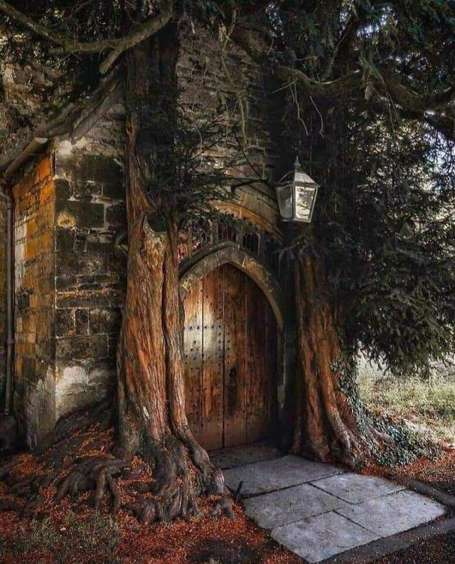 68da307f81696_yt5tdo4w8rd71__700