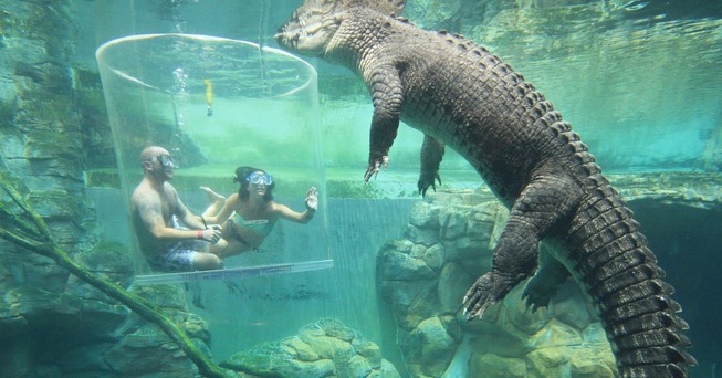 1-5f2006fedf8a8__700