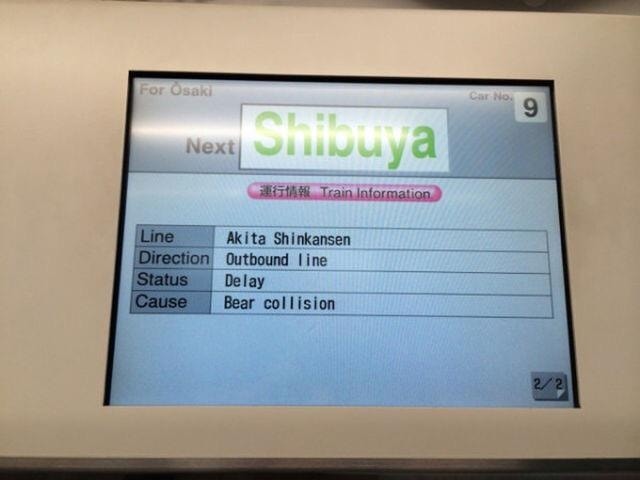 409400207_404507228577636_9216930732703901276_n