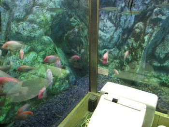 16780608dbe15279dabc9a52795b85f66482676e