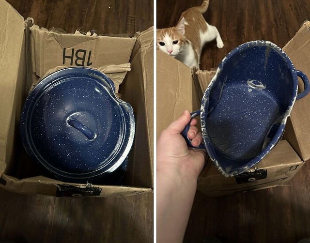 68791a0baf615_epic-delivery-fails
