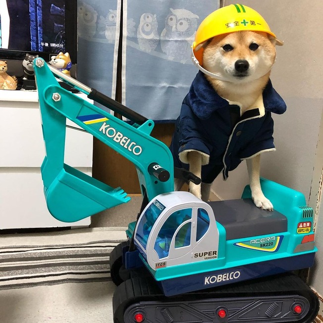 153031024_10161397095061840_8364537265255434869_o