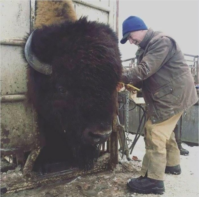 funny-absolute-unit-pics-10-6087d13cc9725__700 (1)