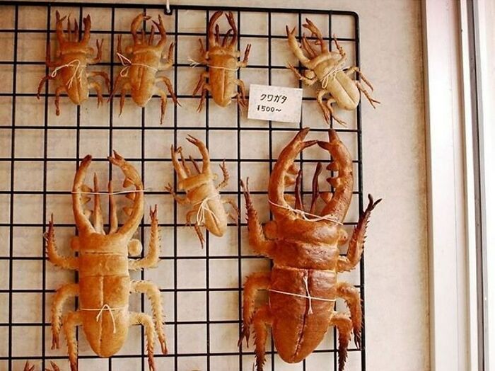 外国人が見つけた不穏で面白い食べ物集 日本のクワガタパンにも注目 2ch トピックス 速報まとめたよ 外国人が見つけた不穏で面白い食べ物集 日本のクワガタパンにも注目 2ch トピックス 速報まとめたよ